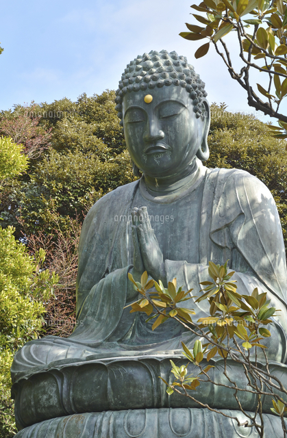 天王寺・釈迦如来坐像[10131505072]の写真・イラスト素材｜アマナ