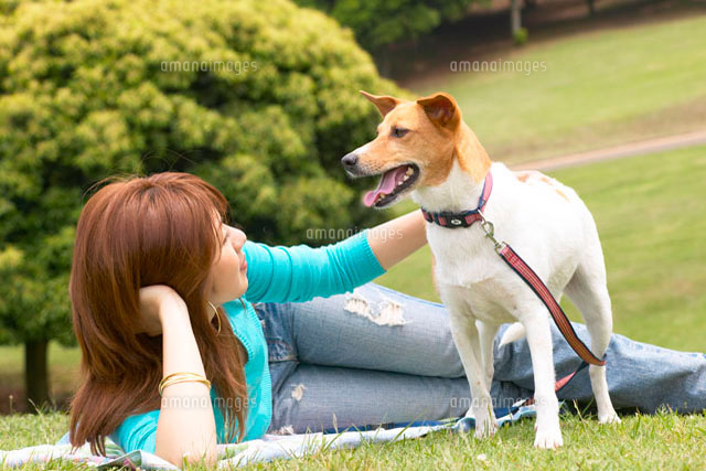 犬と女性[10132005494]の写真・イラスト素材｜アマナイメージズ