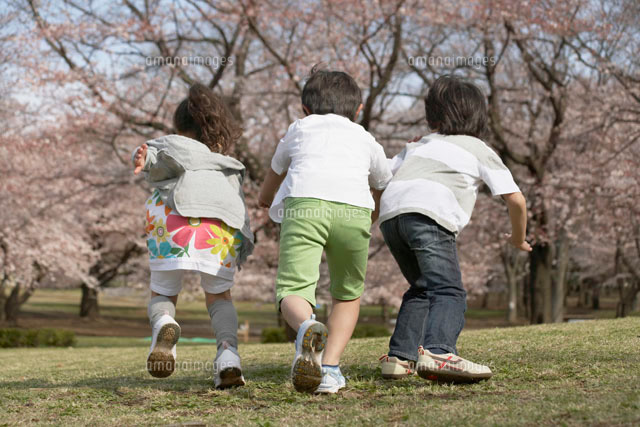 桜を背景に走る子ども達の後ろ姿 の写真素材 イラスト素材 アマナイメージズ