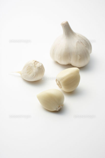 にんにく の写真素材 イラスト素材 アマナイメージズ