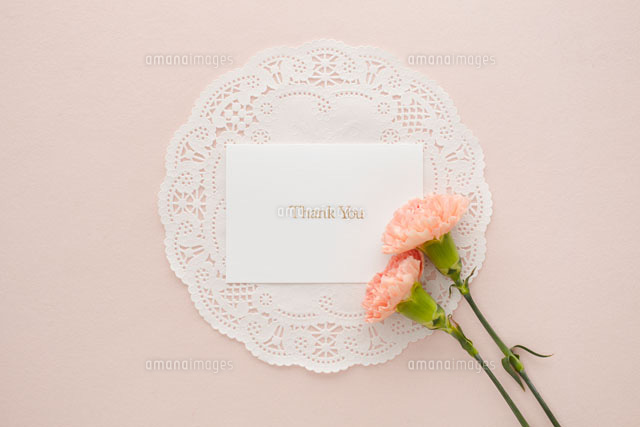 レース模様とピンクのカーネーションの花とカード の写真素材 イラスト素材 アマナイメージズ