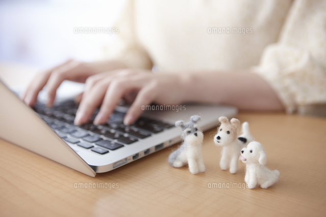 犬の人形とパソコンを打つ女性の手 の写真素材 イラスト素材 アマナイメージズ