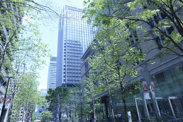 ビジネス街の風景 の写真素材 イラスト素材 アマナイメージズ