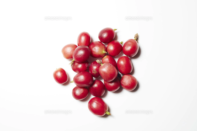 コーヒーチェリー の写真素材 イラスト素材 アマナイメージズ