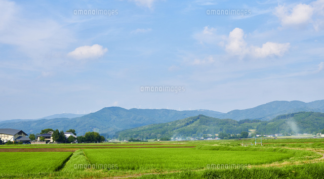 田んぼの風景[10132113966]の写真・イラスト素材｜アマナイメージズ
