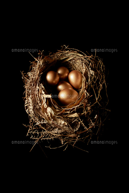 鳥の巣と金の卵 の写真素材 イラスト素材 アマナイメージズ