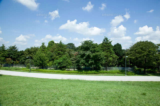 野原の道 の写真素材 イラスト素材 アマナイメージズ