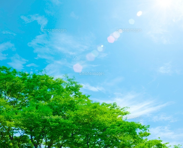 新緑と空 の写真素材 イラスト素材 アマナイメージズ 新緑と空 の写真素材 イラスト素材 アマナイメージズ