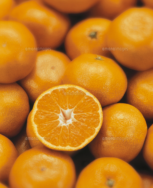 ミカンの集合と断面 の写真素材 イラスト素材 アマナイメージズ