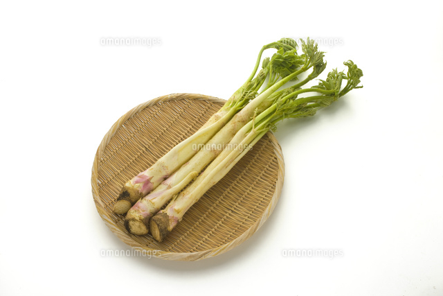 うど 10137008199 の写真素材 イラスト素材 アマナイメージズ