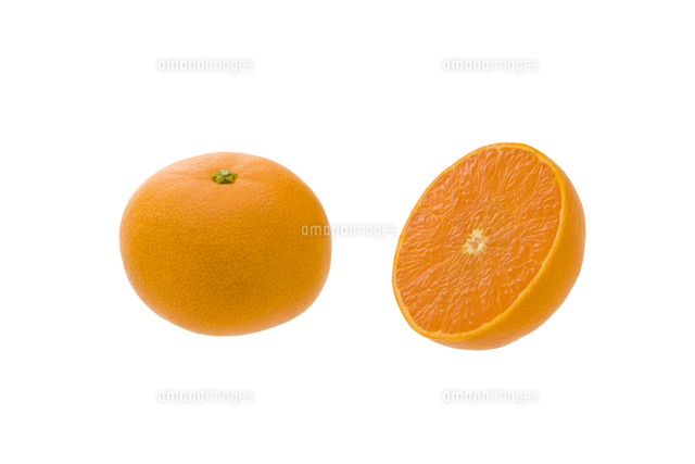 せとか の写真素材 イラスト素材 アマナイメージズ