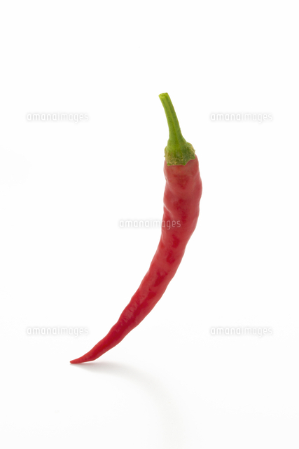 とうがらし の写真素材 イラスト素材 アマナイメージズ