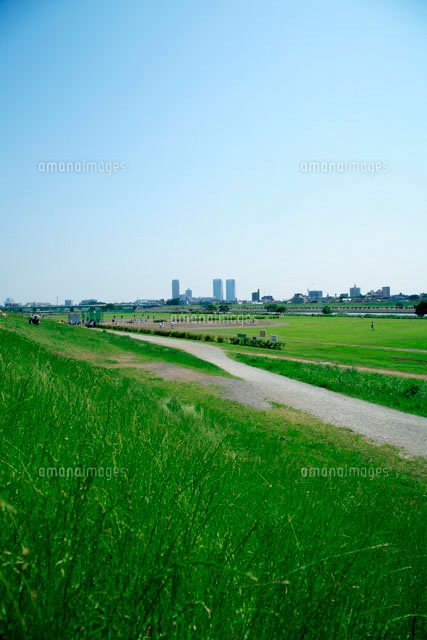 土手の風景 の写真素材 イラスト素材 アマナイメージズ