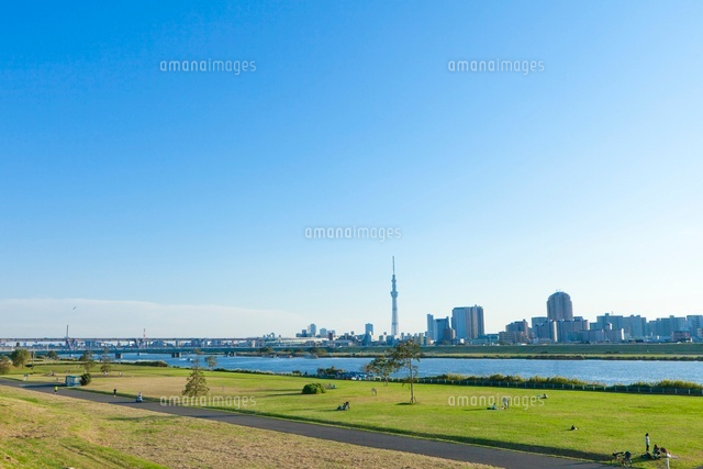 スカイツリーと町並みと青空と荒川河川敷 の写真素材 イラスト素材 アマナイメージズ