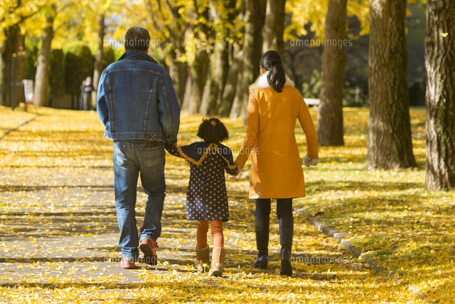紅葉の銀杏並木の３人の家族 の写真素材 イラスト素材 アマナイメージズ