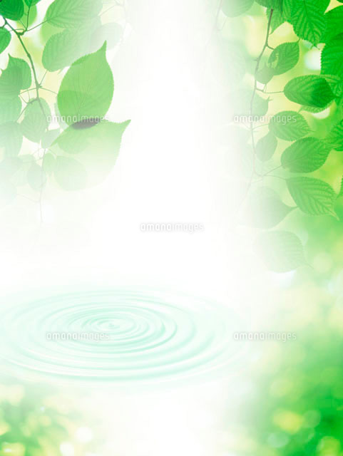 新緑の葉を使った背景紙 の写真素材 イラスト素材 アマナイメージズ