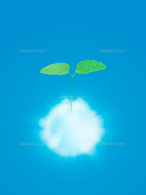 青白く発光する球体から伸びる新芽 の写真素材 イラスト素材 アマナイメージズ