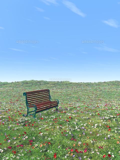 草花の丘とベンチ[10143003953]の写真・イラスト素材｜アマナイメージズ