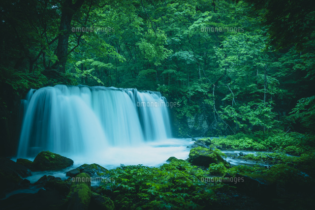 滝と森林の油彩画 約32cm x 40cm 滝と森林の油彩画 約32cm x 40cm 油絵(油彩画)｜Artmeter｜