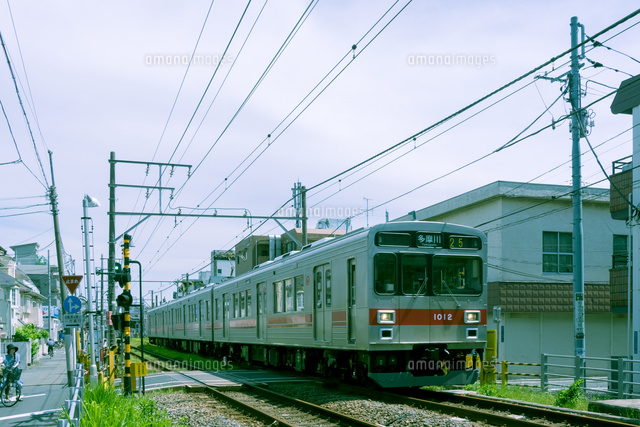 踏切を通過する多摩川線 の写真素材 イラスト素材 アマナイメージズ