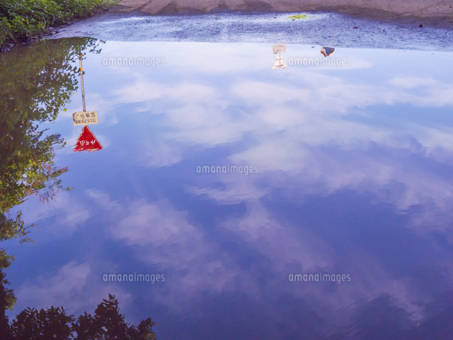 冠水した道路の水たまりに映る晴れ間 の写真素材 イラスト素材 アマナイメージズ