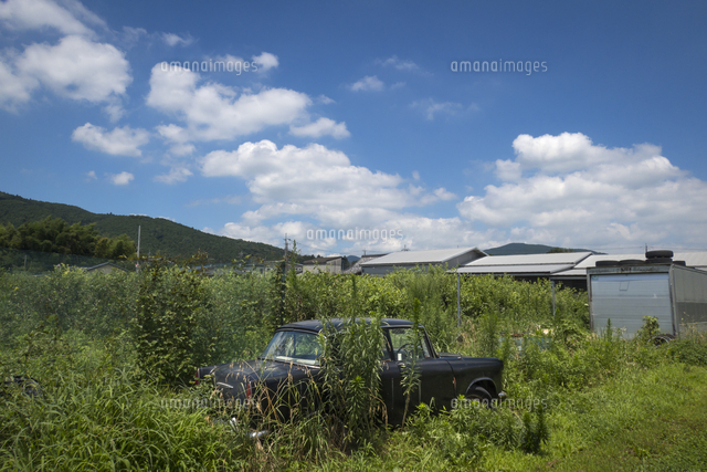 野ざらしの古い型式の黒い車 の写真素材 イラスト素材 アマナイメージズ