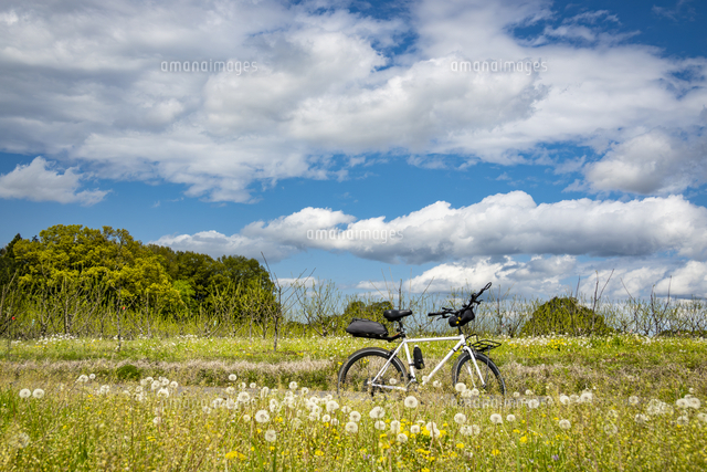 自転車のあるのどかな春の景観[10143016050]の写真・イラスト素材 