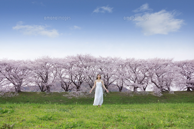 緑の上で手を広げ佇む女性と遠方の桜並木 の写真素材 イラスト素材 アマナイメージズ