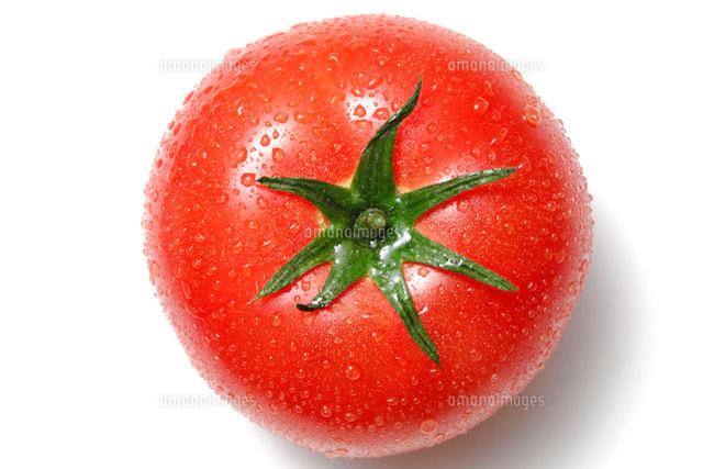 トマト[10145000418]の写真・イラスト素材｜アマナイメージズ
