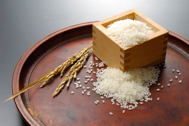 枡入りの米と稲穂 の写真素材 イラスト素材 アマナイメージズ