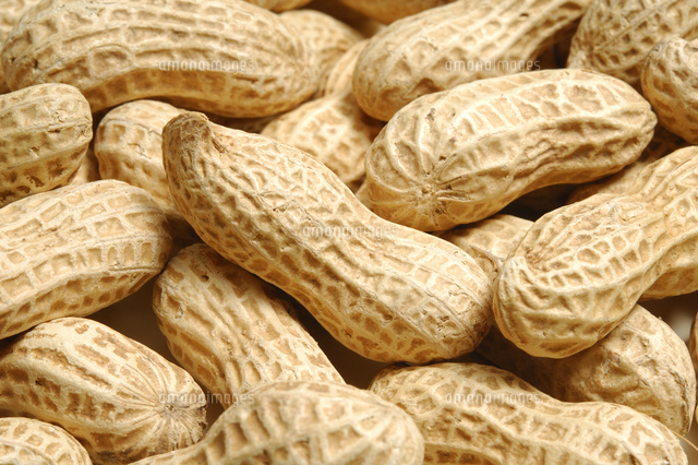 ピーナッツの集合 の写真素材 イラスト素材 アマナイメージズ