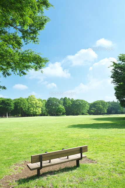 公園のベンチと青空 の写真素材 イラスト素材 アマナイメージズ 公園のベンチと青空 の写真素材 イラスト素材 アマナイメージズ