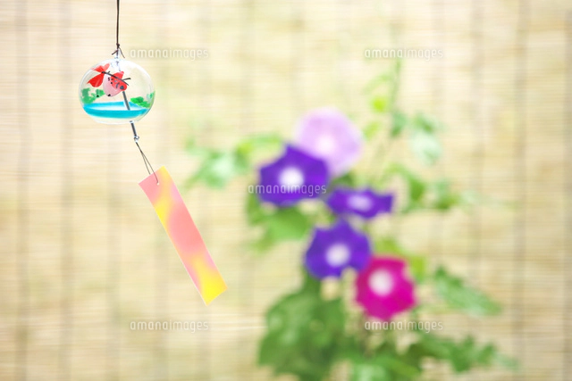 すだれと風鈴と朝顔[10146003365]の写真・イラスト素材｜アマナイメージズ