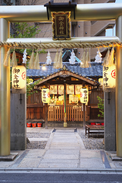 京都の御金神社[10146004384]の写真素材・イラスト素材｜アマナイメージズ