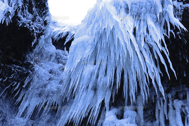 角田山の氷柱 の写真素材 イラスト素材 アマナイメージズ