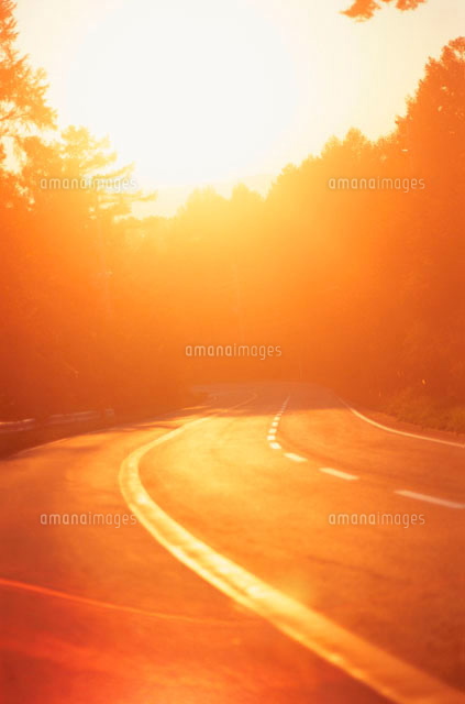 夕日と道[10153000056]の写真・イラスト素材｜アマナイメージズ