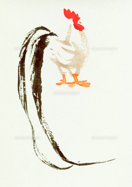 尾の長いニワトリ 水彩画[10155000094]の写真・イラスト素材｜アマナ