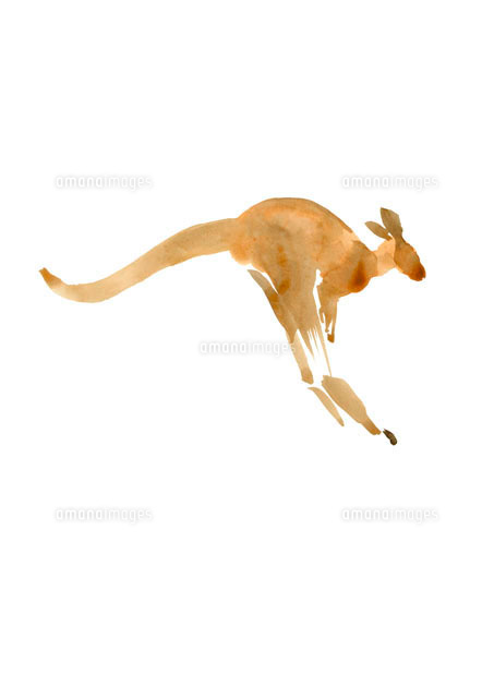 はねるカンガルー 筆のイラスト の写真素材 イラスト素材 アマナイメージズ