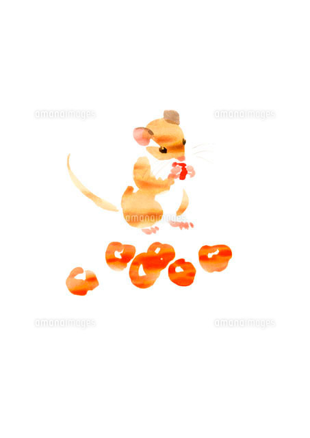 木の実を食べるねずみ イラスト の写真素材 イラスト素材 アマナイメージズ 木の実を食べるねずみ イラスト の写真素材 イラスト素材 アマナイメージズ