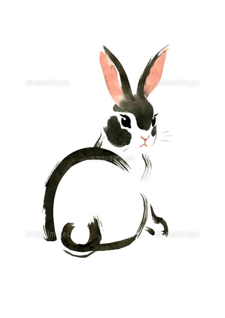 うさぎ絵 なみの (@h_ykn_24) • Instagram photos and videos
