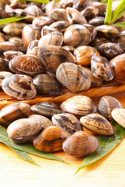 浅利 の写真素材 イラスト素材 アマナイメージズ