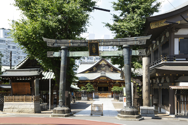 東京 湯島天満宮 湯島天神 鳥居 の写真素材 イラスト素材 アマナイメージズ