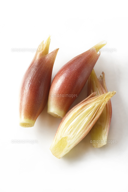 ミョウガ 茗荷 の写真素材 イラスト素材 アマナイメージズ