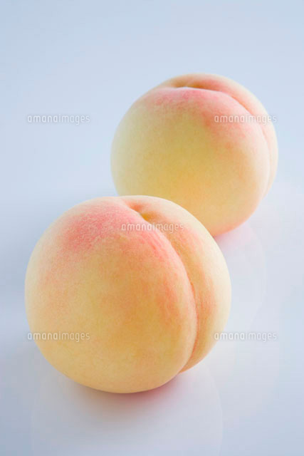 白桃 の写真素材 イラスト素材 アマナイメージズ 白桃 の写真素材 イラスト素材 アマナイメージズ