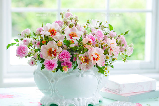 窓辺の花瓶のピンクのバラの花 の写真素材 イラスト素材 アマナイメージズ