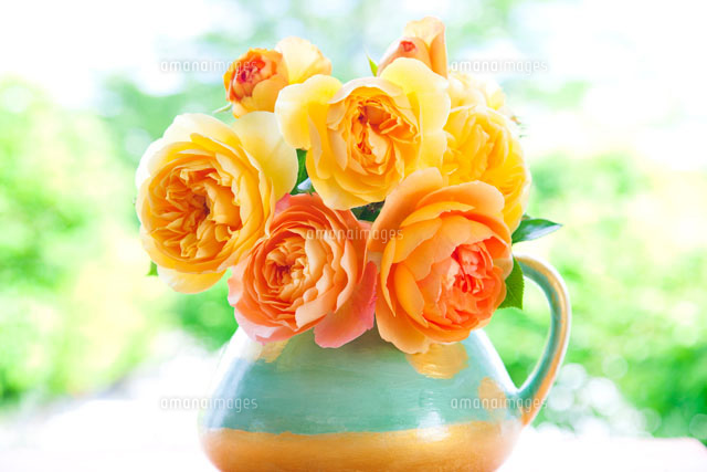 黄色とオレンジ色のバラの花と花瓶 の写真素材 イラスト素材 アマナイメージズ