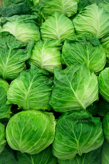 スーパーの野菜売り場のキャベツ の写真素材 イラスト素材 アマナイメージズ