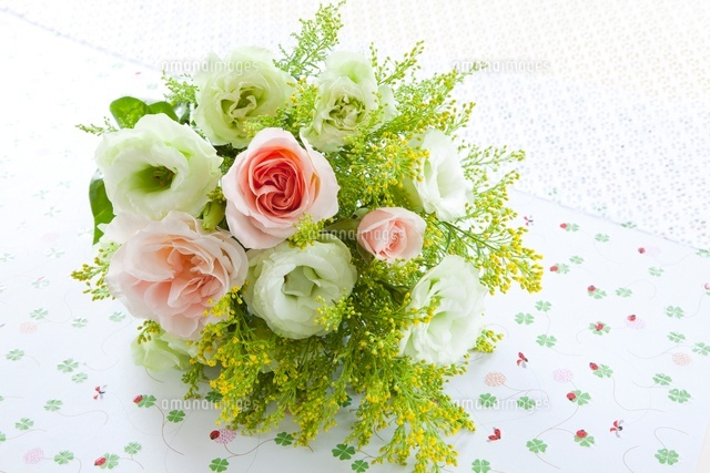 トルコキキョウとバラの花 クローバー柄の包装紙 の写真素材 イラスト素材 アマナイメージズ