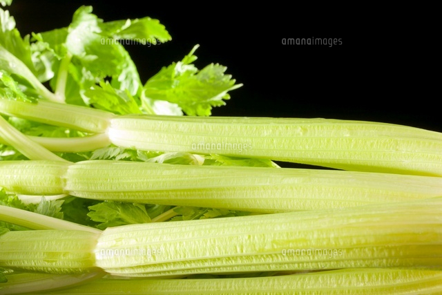 セロリ の写真素材 イラスト素材 アマナイメージズ
