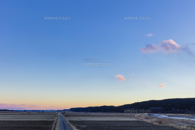 冬空